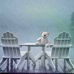 lonely teddy feeling blue in rain